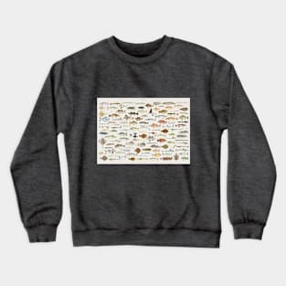 Fish Chart Crewneck Sweatshirt